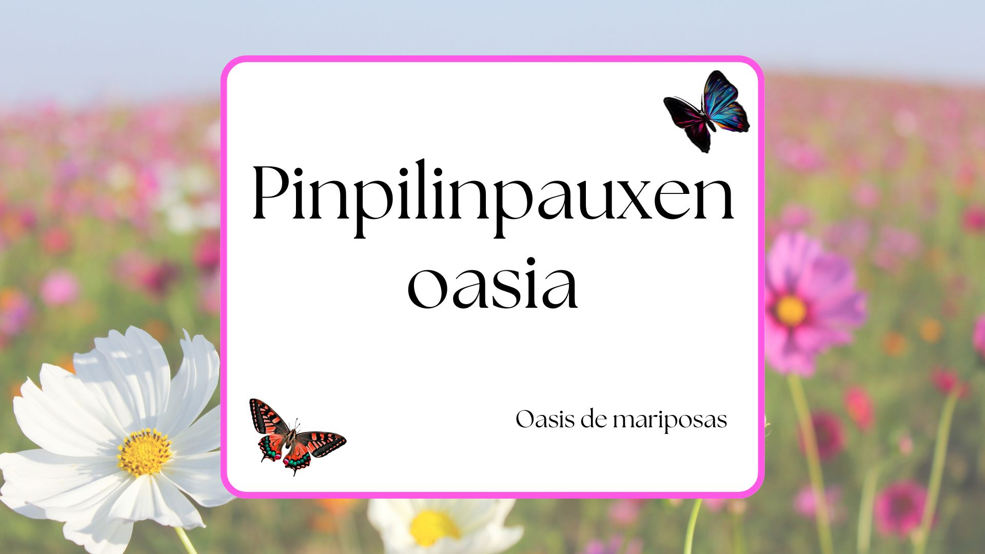 Oasis de mariposas